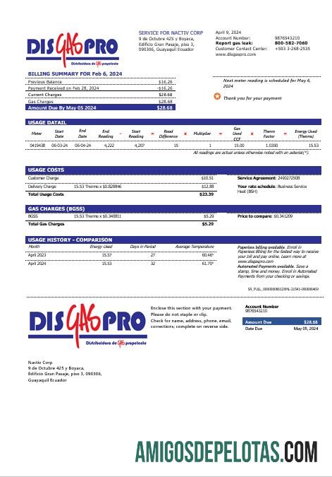 Em branco modelo de conta de serviço público de gás Disgaspro do Equador em formatos Word e PDF